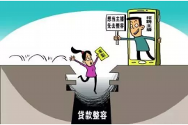 团城山讨债公司成功追讨回批发货款50万成功案例